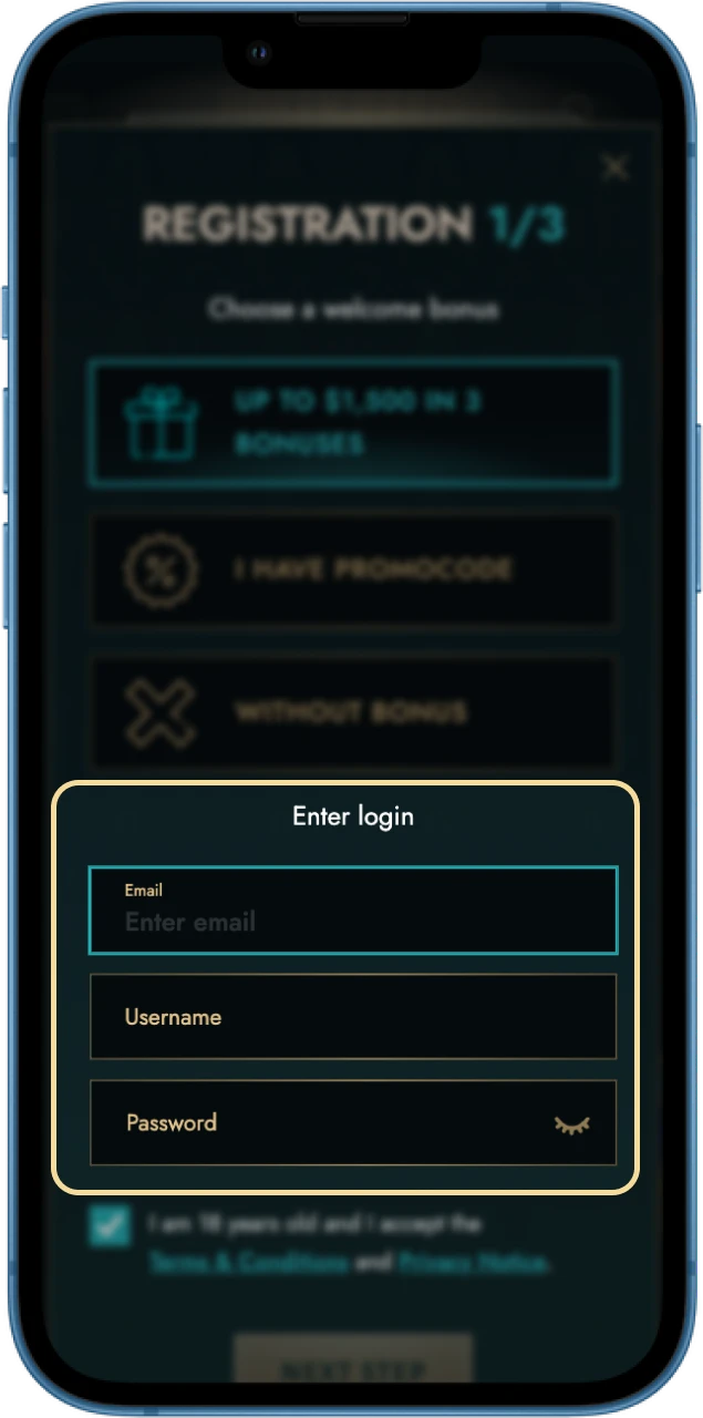 Go through the registration process to create your account.