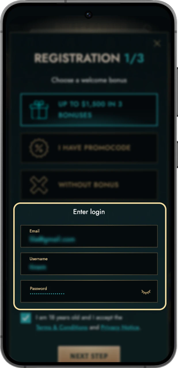 Correctly fill in all fields in the registration form.